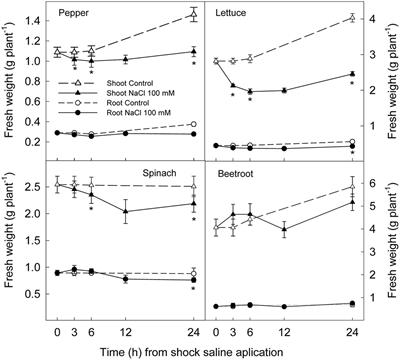 Short Term Effect of Salt Shock on Ethylene and Polyamines Depends on Plant Salt Sensitivity